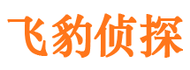 宁晋市侦探调查公司